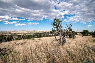 /international/us/123-ridge-view-road-magdalena-nm-110104599924/