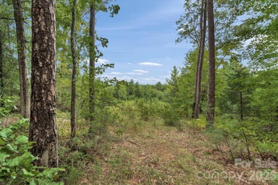 /international/us/mountain-road-cleveland-nc-110110255632/