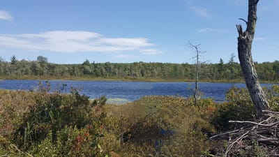 /international/us/m4-96-99-parker-pond-road-jay-me-110101506073/
