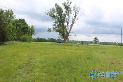 /international/us/600-county-road-550-grove-oak-al-110099729720/?lang=zh-tw