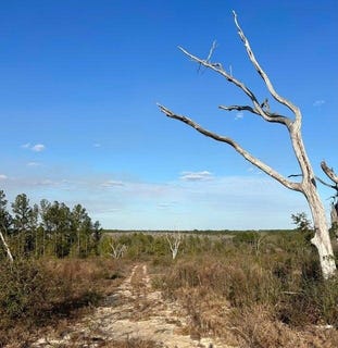/international/us/00-james-luther-rd-ponce-de-leon-fl-110101126688/