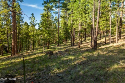 /international/us/9-n1064-greer-az-110099012369/