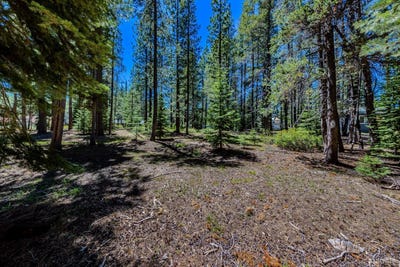 /international/us/1891-mandan-street-south-lake-tahoe-ca-110108480646/