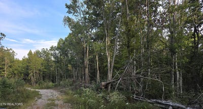 /international/us/mill-creek-rd-lot-10-sunbright-tn-110120037262/