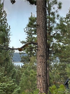 /international/us/833-great-spirits-way-big-bear-lake-ca-110110337935/