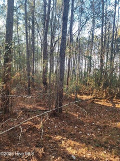 /international/us/210-highway-off-rocky-point-nc-110105412857/