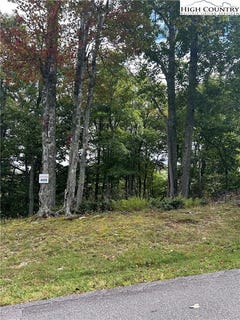 /international/us/405-firethorn-trail-blowing-rock-nc-110100834402/