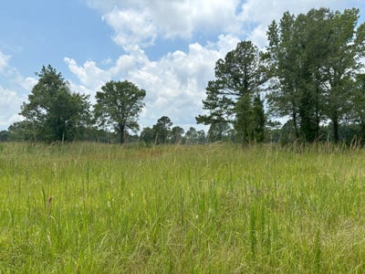 /international/us/216-causey-rd-nichols-sc-110097256575/
