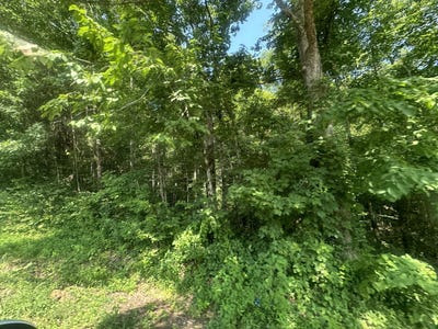 /international/us/2-acres-holly-creek-road-celina-tn-110100722708/?lang=zh-cn