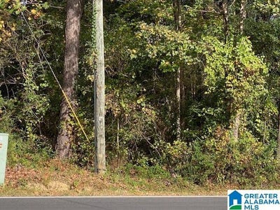 /international/us/0-sanie-road-odenville-al-110087996589/?lang=zh-tw