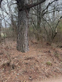 /international/us/000-lot-22-gather-griffin-farm-road-quitman-ar-110107680740/