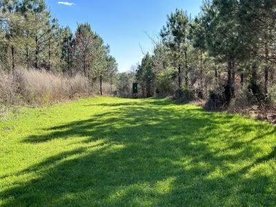/international/us/0-co-rd-96-millport-al-110104883450/