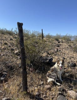 /international/us/n-bryce-eden-rd-eden-az-110120124806/