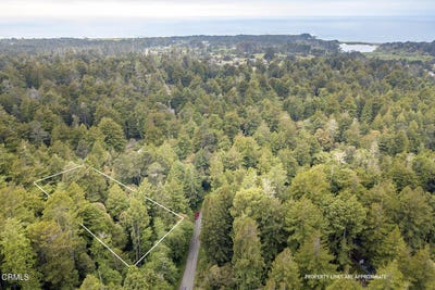 /international/us/32100-forest-lane-fort-bragg-ca-110101142133/