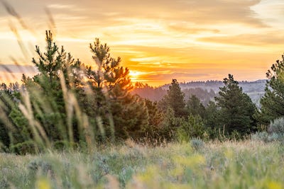 /international/us/a9-broad-axe-road-gillette-wy-110092079081/?lang=zh-tw