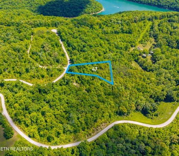 /international/us/lot-47-horseshoebend-speedwell-tn-110110277617/