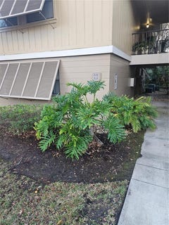 /international/us/140-orchid-woods-court-deltona-fl-110105215593/