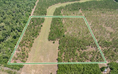 /international/us/live-oak-fl-110108626987/