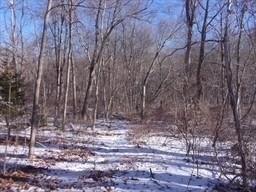 /international/us/90-chestnut-hill-road-millville-ma-110106613044/