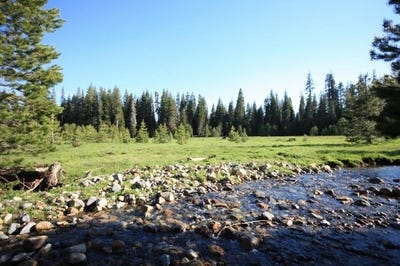 /international/us/10-beasore-road-bass-lake-ca-110103259419/