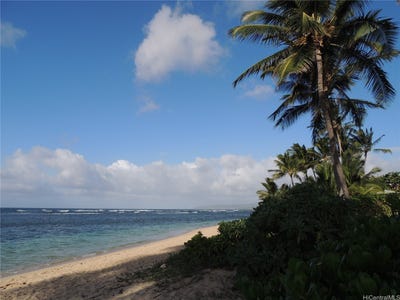 /international/us/68269-crozier-loop-waialua-hi-110108140286/