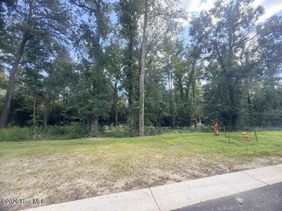 /international/us/8048-fair-lakes-way-ne-lot-571-leland-nc-110120118289/