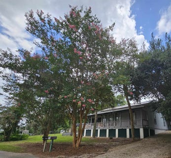 /international/us/235-ocklawaha-circle-quincy-fl-110100578874/?lang=zh-tw