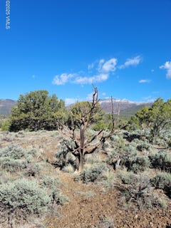 /international/us/00755-pinon-crest-way-mccoy-co-110101360586/
