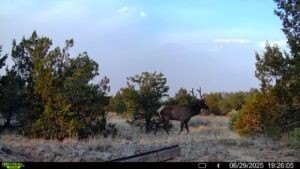 /international/us/83-bear-valley-road-ramah-nm-110101214118/