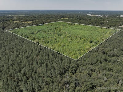 /international/us/40-acres-hwy-588-collins-ms-110106697890/