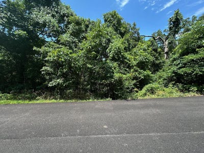 /international/us/paola-lane-lot-9-kimberling-city-mo-110100658716/