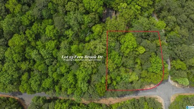 /international/us/fern-brook-drive-lot-15-dadeville-al-110108693494/