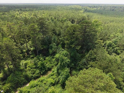 /international/us/county-road-208-junction-city-ar-110109379379/