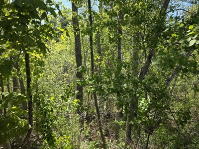 /international/us/4-goose-river-estates-swanville-me-110108280417/