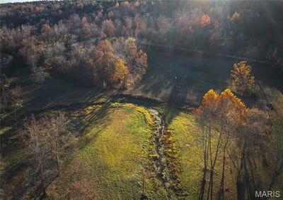 /international/us/00-county-road-5615-29-99-acres-bunker-mo-110107824372/