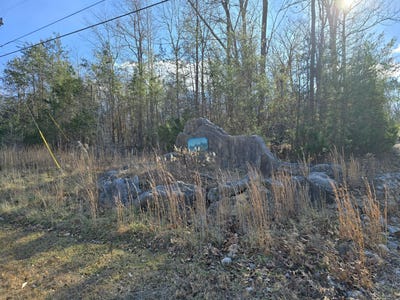 /international/us/n-roberts-bend-road-lot-18r-burnside-ky-110104433992/