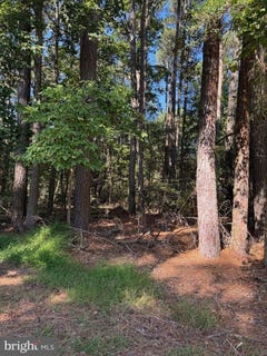 /international/us/broadside-drive-lot-871-greenbackville-va-110120554827/