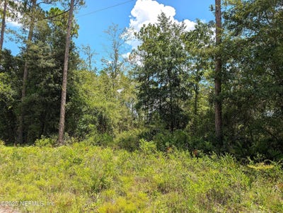 /international/us/se-48th-lane-starke-fl-110101366385/