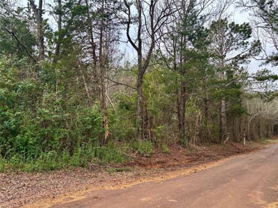 /international/us/4451-county-road-3206-w-mount-enterprise-tx-110105838614/