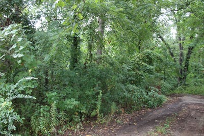 /international/us/790-00540-008-s-maplewood-lane-summit-ar-110093947605/?lang=en