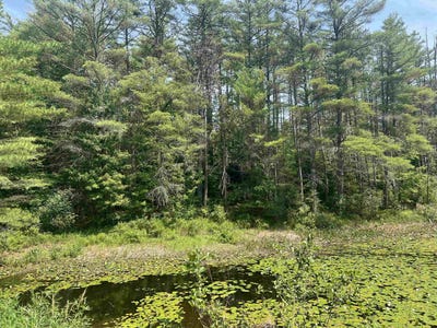 /international/us/179-chickville-road-ossipee-nh-110101143857/?lang=es