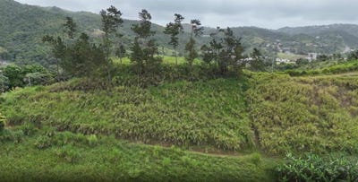 /international/us/km-0-2-int-bo-helechal-pr-152-barranquitas-pr-110098781156/