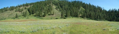 /international/us/tbd-blk-1-lot-5-payette-river-heights-garden-valley-id-110100983066/