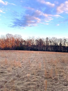/international/us/0-tract-6-gilliam-road-brookneal-va-110104977096/