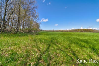/international/us/vl-s-96th-avenue-rothbury-mi-110107712410/