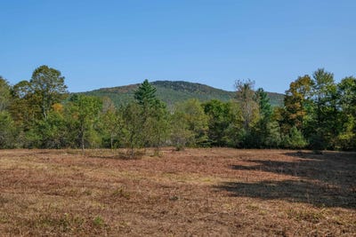 /international/us/525-station-road-lot-2-mount-holly-vt-110105424840/