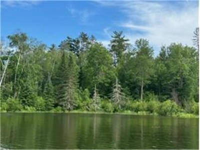 /international/us/tbd-s-thunder-lake-road-thunder-lake-twp-mn-110101338627/?lang=zh-tw