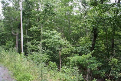 /international/us/41-s-high-valley-dr-lot-41-monterey-va-110100149901/