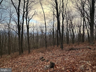 /international/us/lawyer-lane-lot-24-sec-10-slanesville-wv-110104297530/