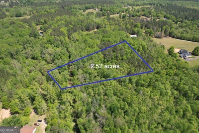 /international/us/2310-hollonville-williamson-ga-110098958766/